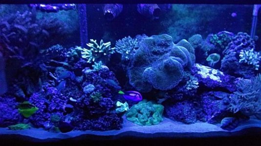 928_0740 (Small).jpg