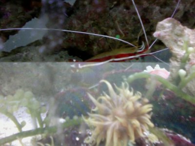 Photo on 2010-05-17 at 01.59.jpg