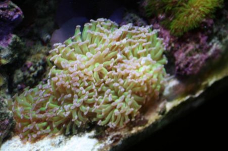 fish tank 178.jpg
