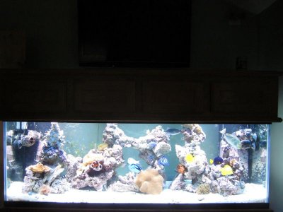 IMG_0390.jpg