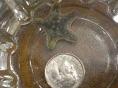 10-27-2010 006 (Medium).jpg