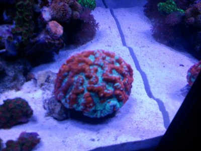 2010-09-03 15.55.23.jpg