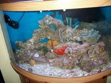 102_0211.jpg