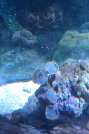 IMAG0316.jpg