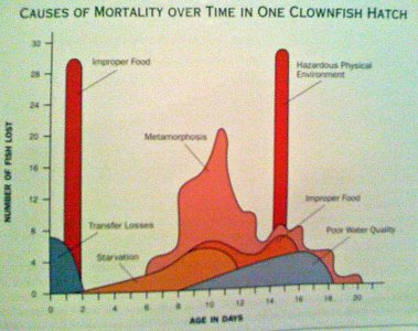 cause of mortality.jpg