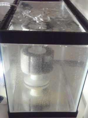 brine 002.jpg