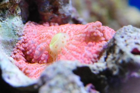 DSC_7668.jpg