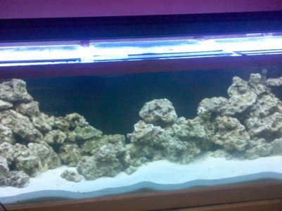 Reef_Cent_start_1.jpg Reef_Cent_start_1.jpg