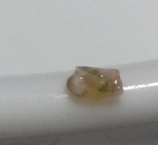 P1000821.JPG