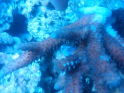 IMG00186-20101101-2019.jpg