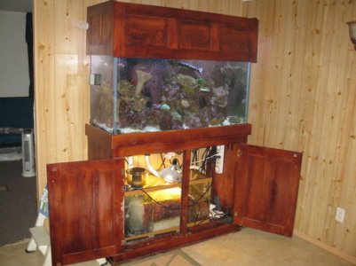rsz_img_1352.jpg