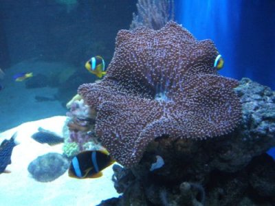 huey lewis and the news.jpg