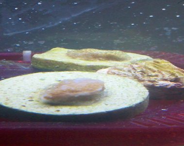 2010-12-05_23-34-00_378.jpg