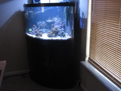 corner tank.jpg