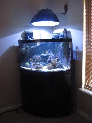 full tank shot.jpg