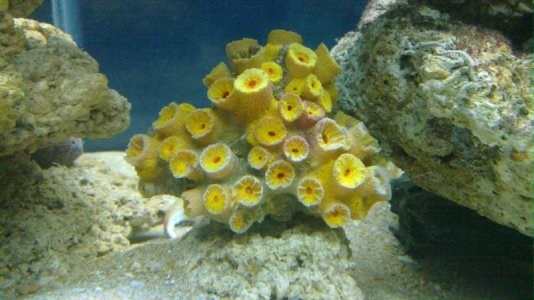 20101210_015.jpg