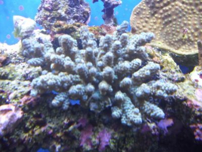 CIMG2399[1].jpg