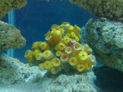 20101207_003f.jpg