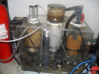 BP-Experiment_05.JPG