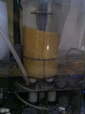 BP-Experiment_08.jpg