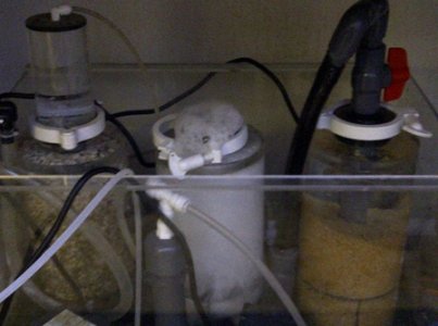 BP-Experiment_10.jpg