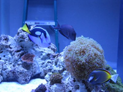 IMG_0858.JPG