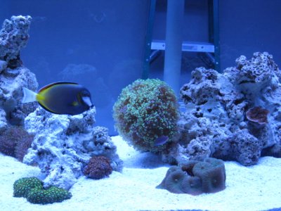IMG_0859.JPG