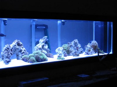 IMG_0861.JPG
