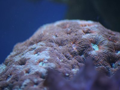 IMG_6608.JPG