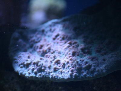 IMG_6624.JPG