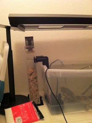 SIDE VIEW OF SKIMMER AND UV.jpg