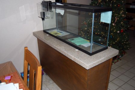 DSC_00050005.JPG