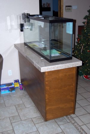 DSC_00060006.JPG