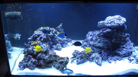FTS-JPG.jpg