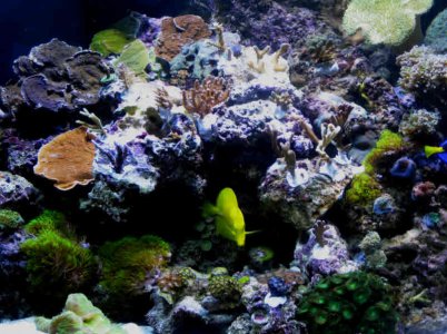 12-19-2010 3-44-16 PM.jpg