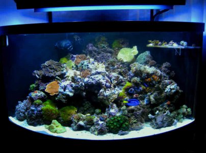 12-19-2010 3-49-41 PM.jpg