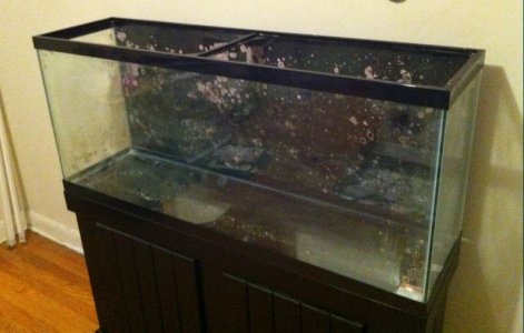 tank2.JPG