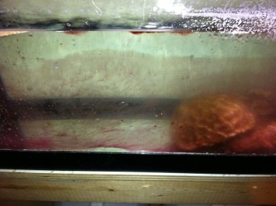 IMG_2958.jpg IMG_2958.jpg