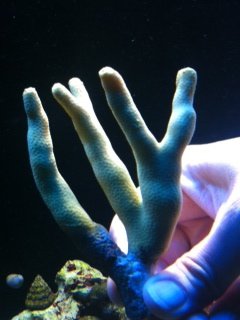 photo.jpg