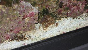 IMG_0227 [12-20-10].JPG