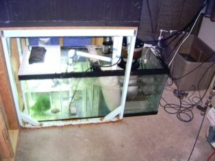 135 sump.jpg