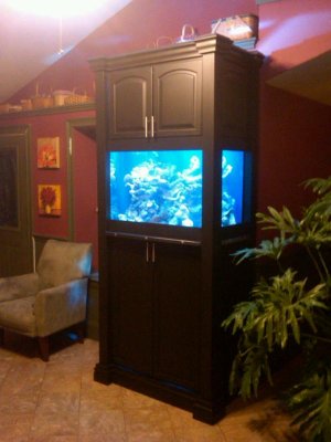IMG00154-20101220-1753.jpg