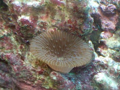 2010-08-14 18.21.23.jpg