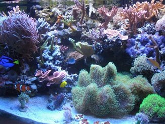 CIMG4151.JPG CIMG4151.JPG