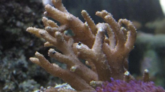 IMG_4150 (Medium).JPG