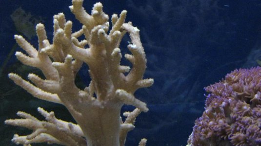 IMG_4149 (Medium).JPG