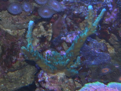 M0018728 (Medium).JPG
