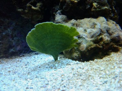 2010-12-28 18.07.42.jpg
