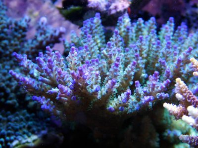 DSCF2700.JPG