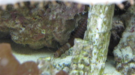 IMG_4154 (Medium).JPG